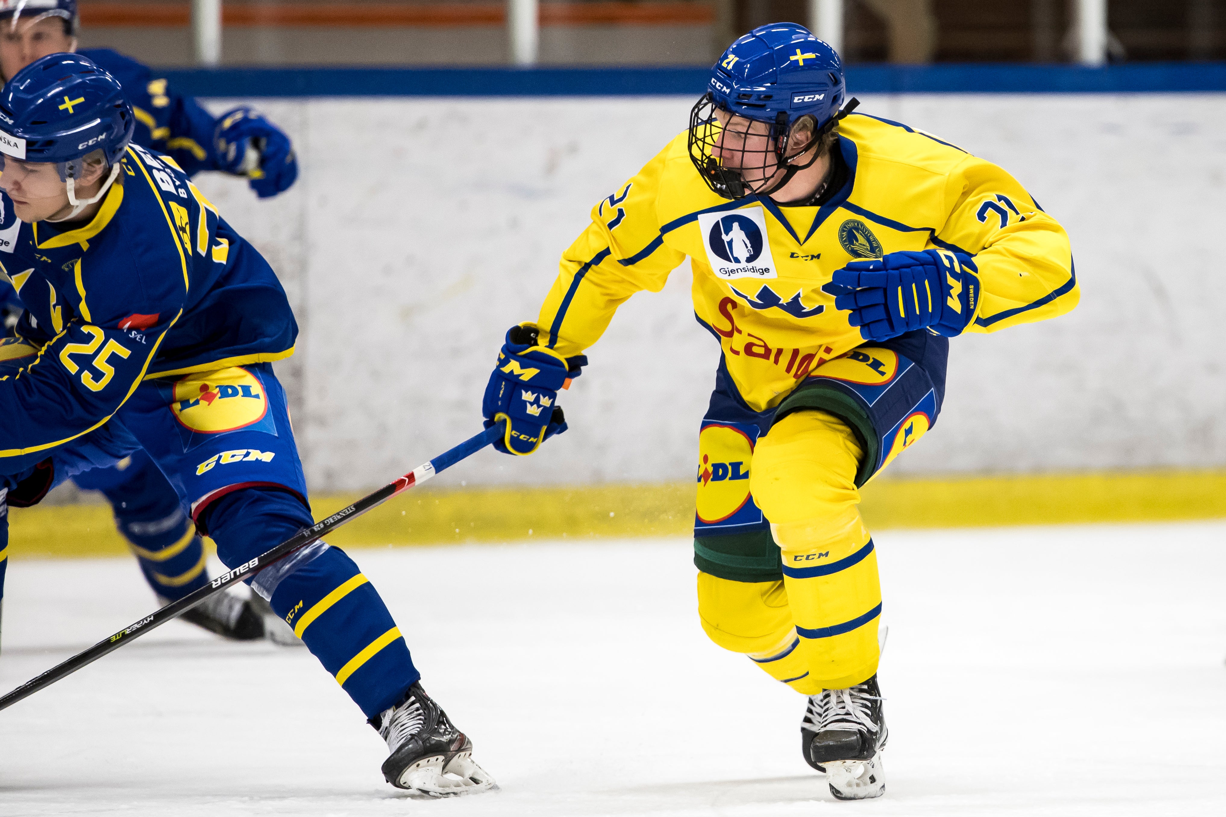 (25302) Otto Stenberg Sverige