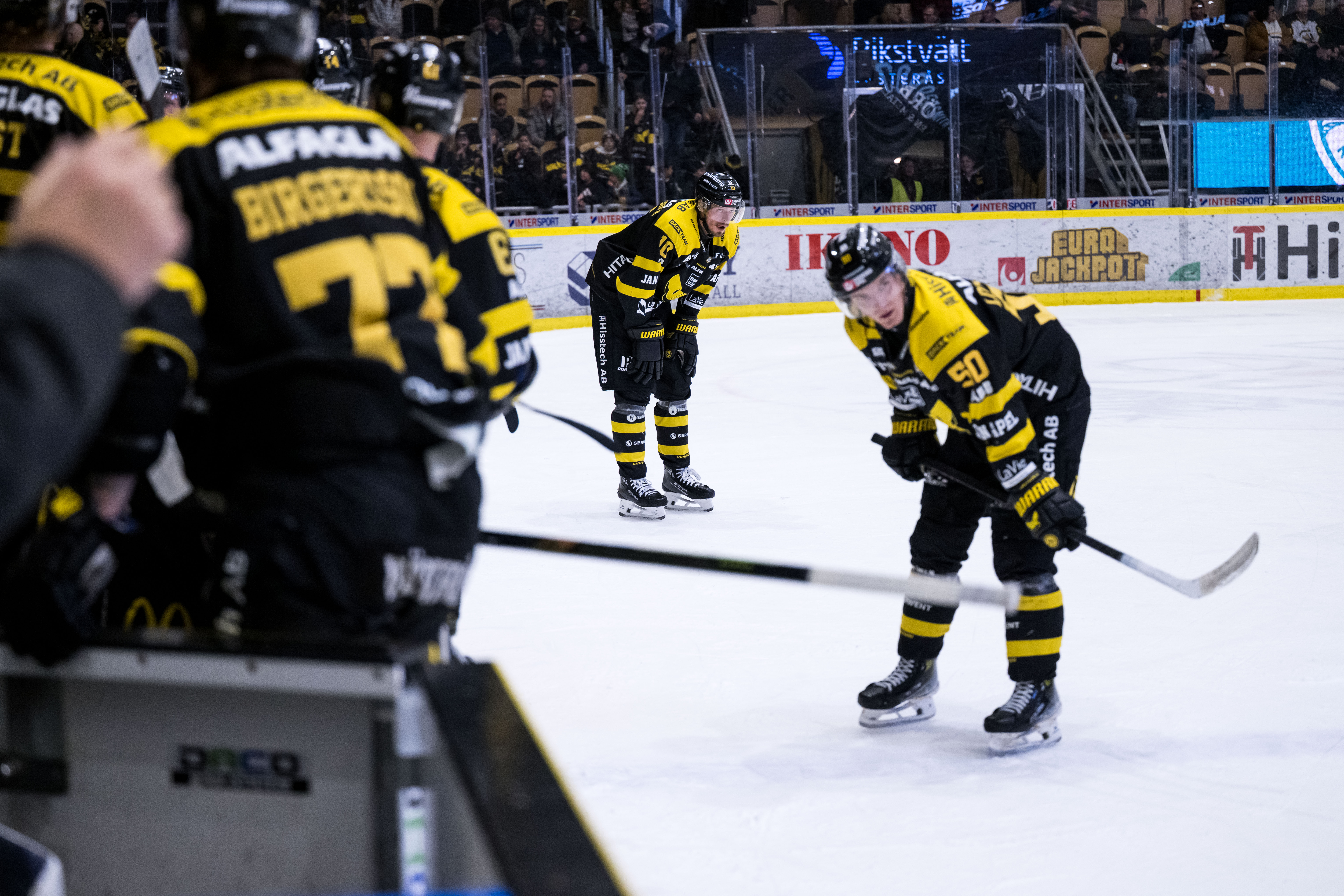 Foto: Emma Wallskog/Bildbyrån