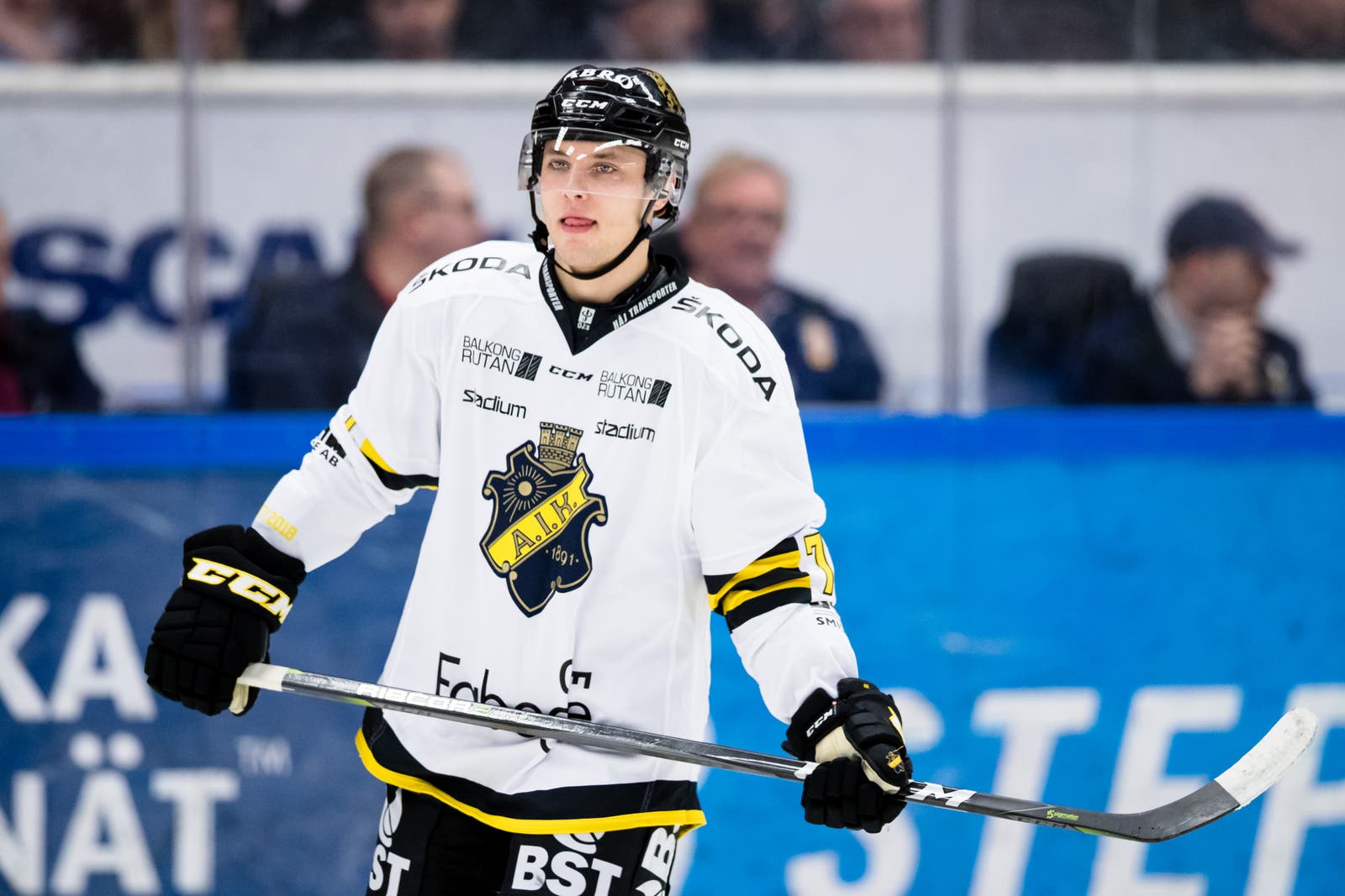 (1587) Erik Nyström