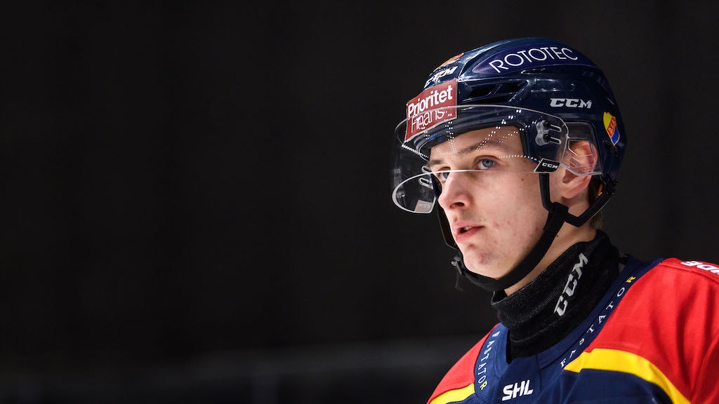 (17652) Ludvig Hedström/Djurgården