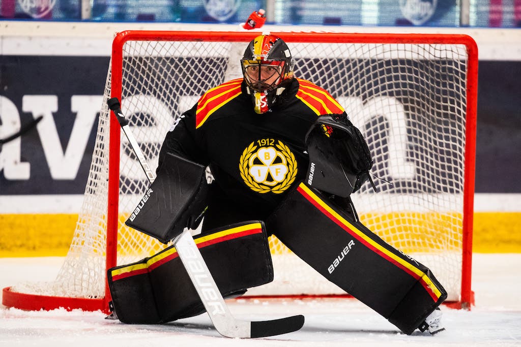 (23198) Kristers Gudlevskis/Brynäs