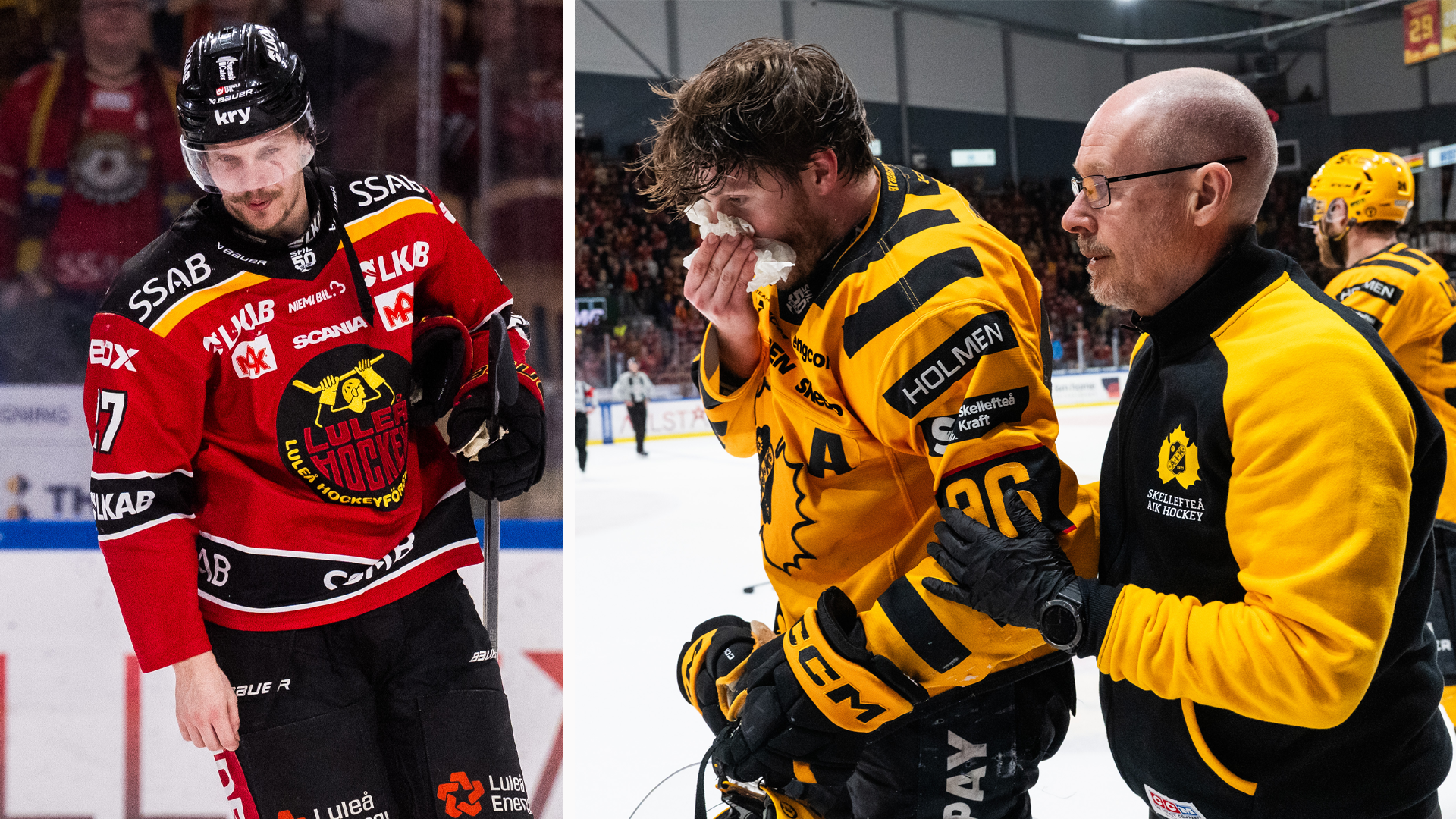 laaksonen hugg luleå skellefteå