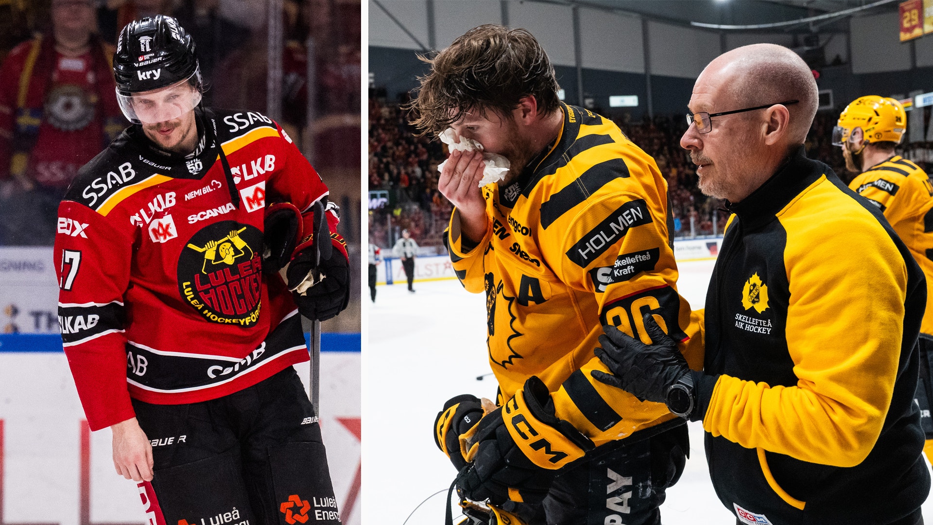 laaksonen hugg luleå skellefteå