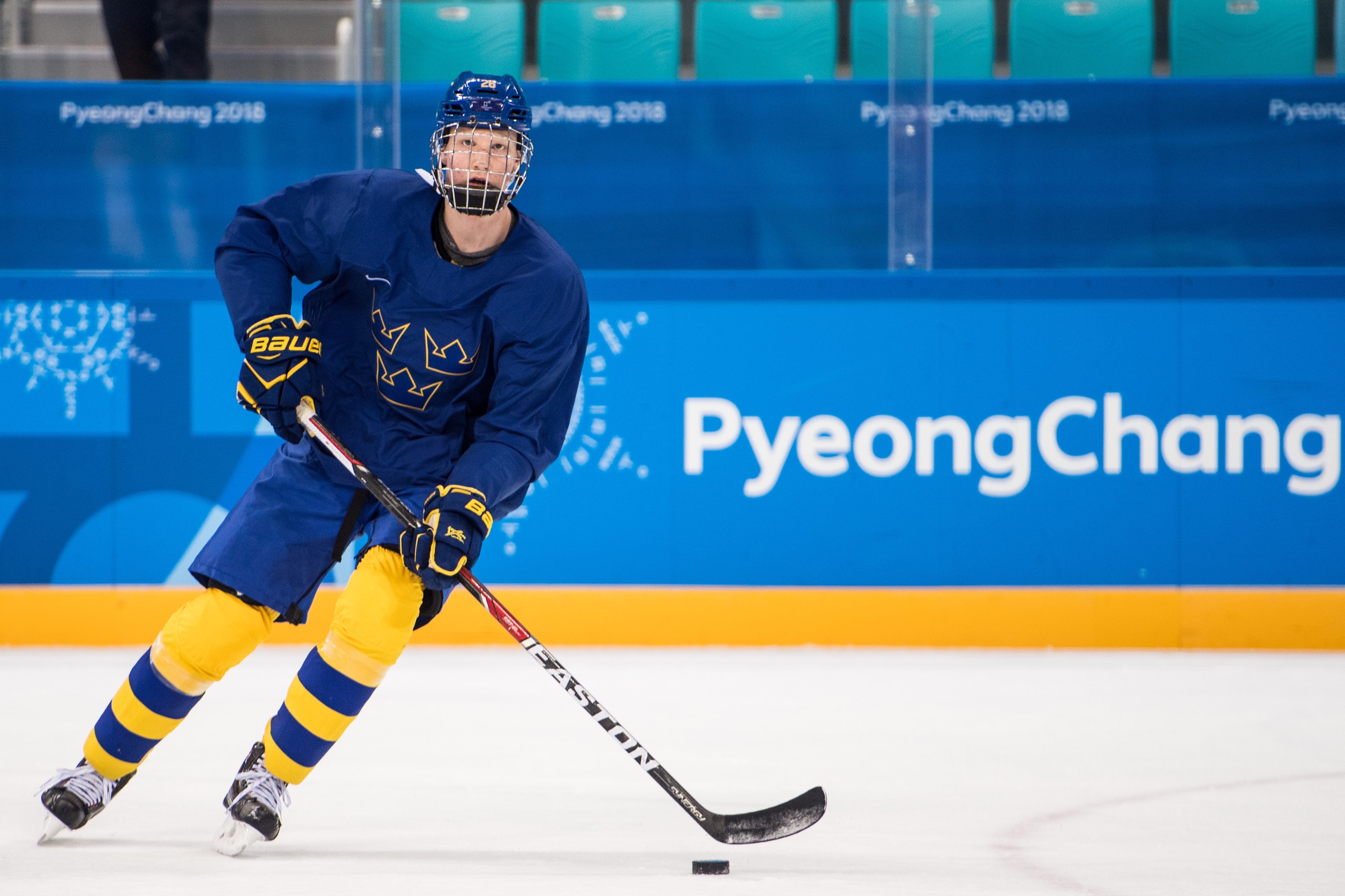 Petter Arvidson/Bildbyrån