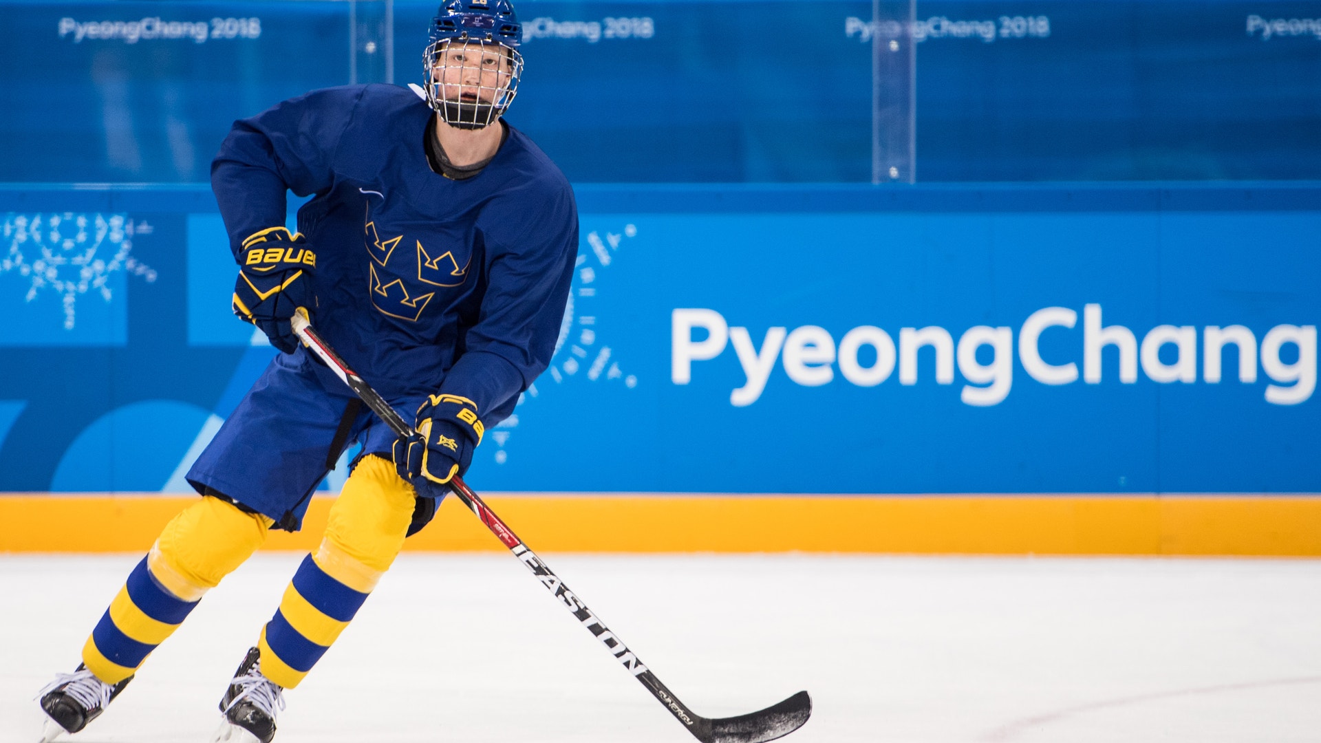 Petter Arvidson/Bildbyrån