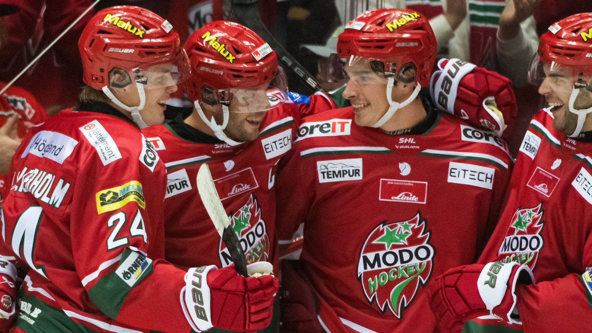 (28995) David Rundblad