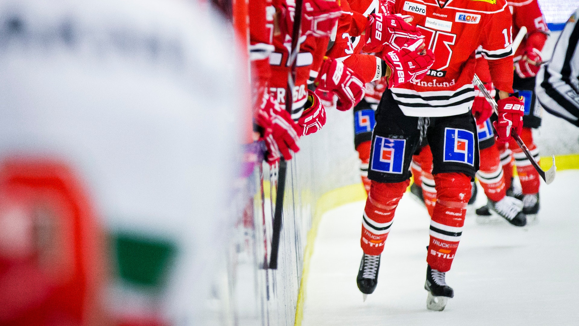 (8831) Rodrigo Abols