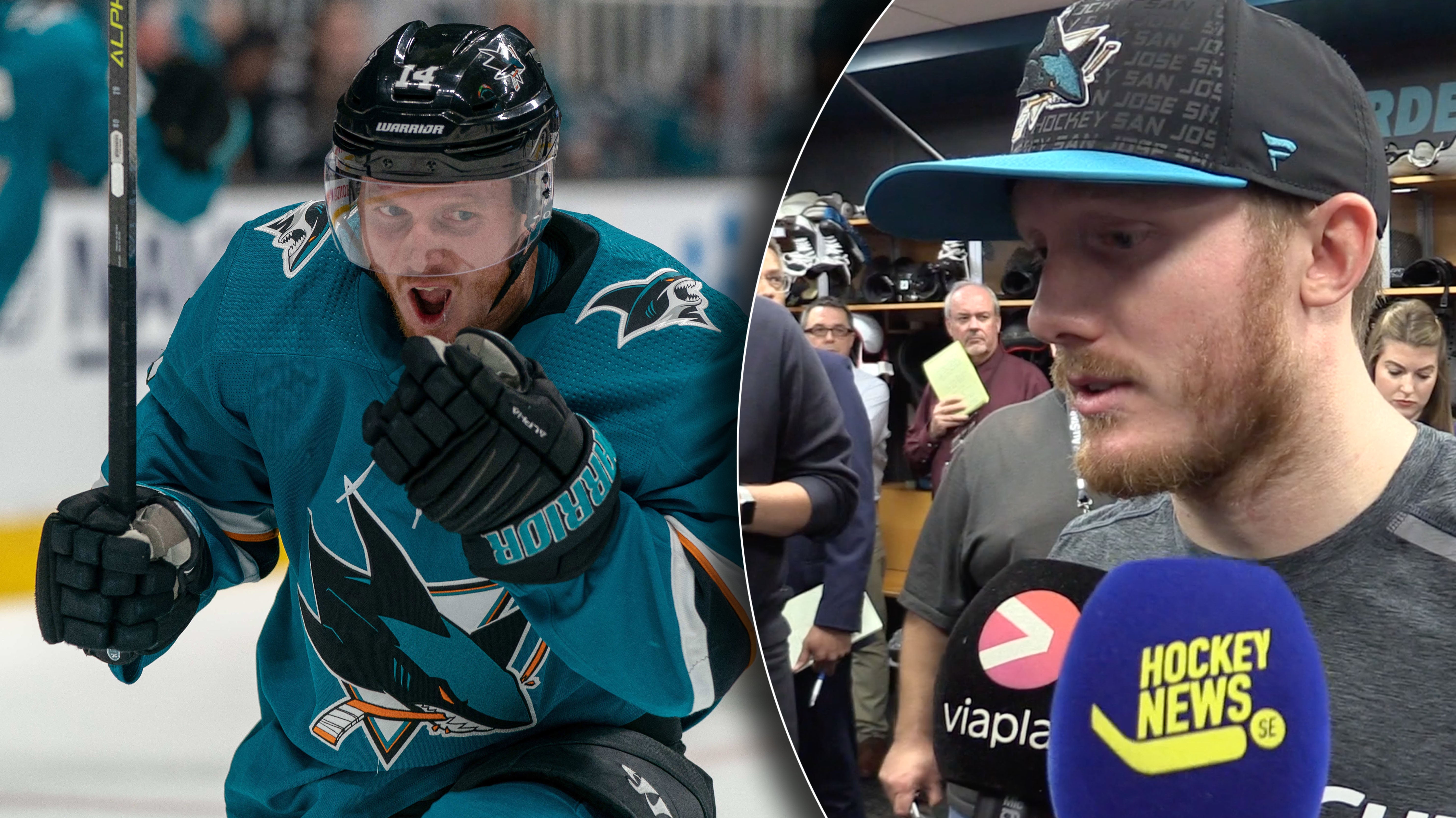 (8530) Gustav Nyquist
