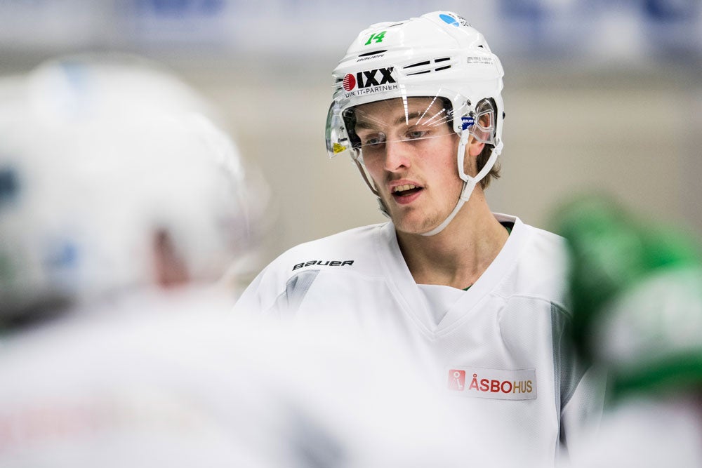 Petter Arvidson/Bildbyrån