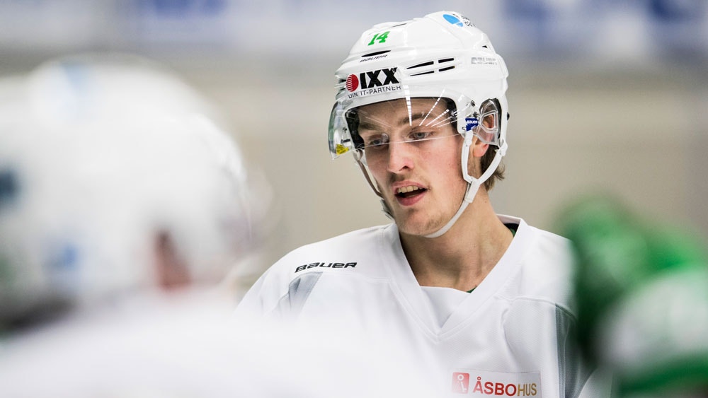 Petter Arvidson/Bildbyrån