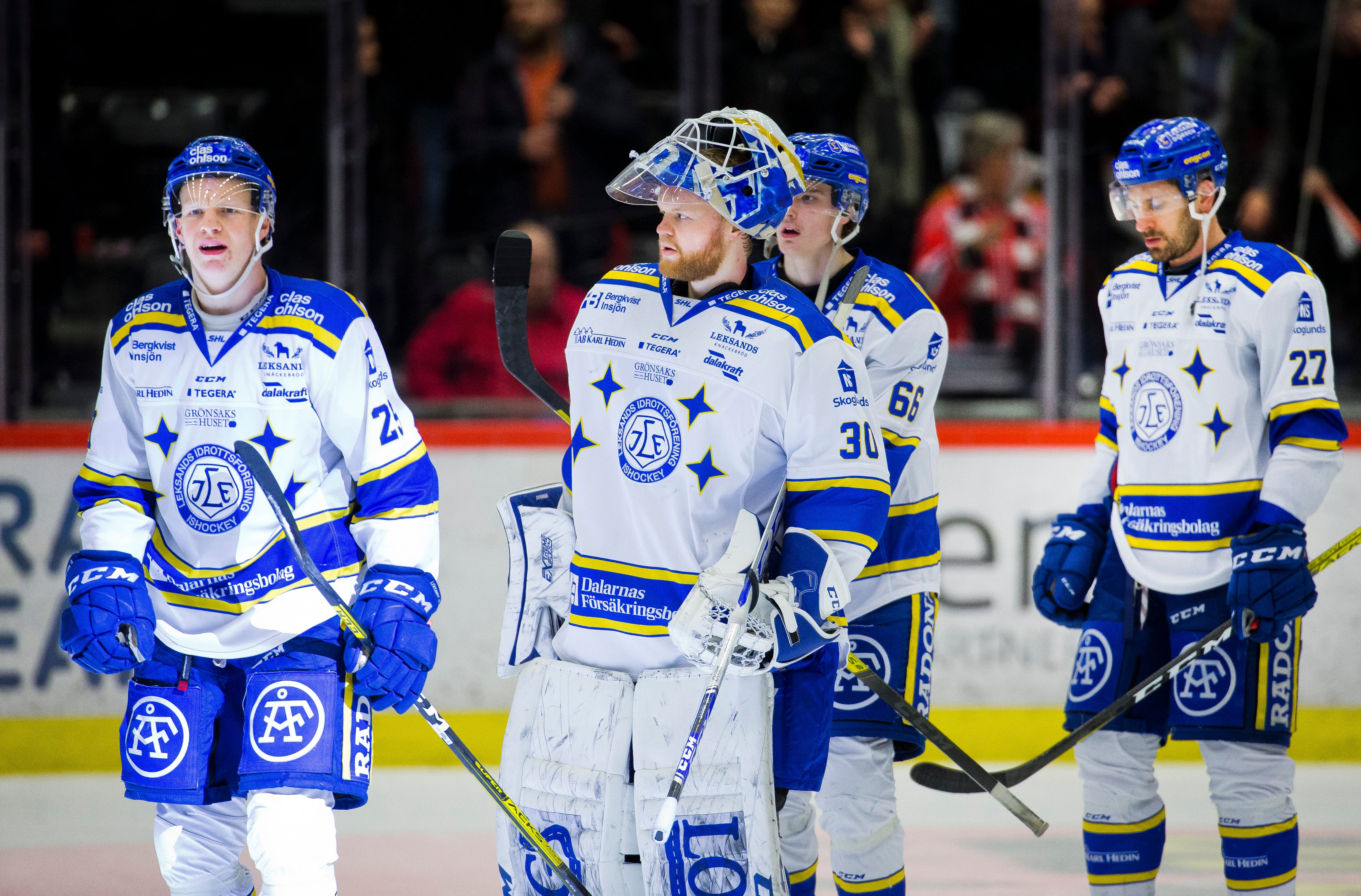 (13433) Leksand