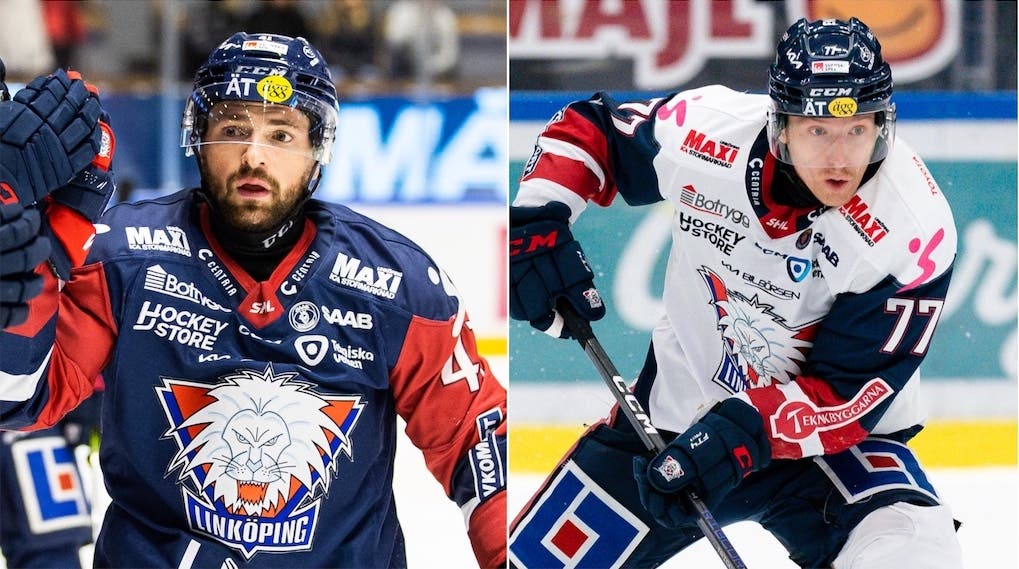 (25638) Little Hännikäinen Linköping