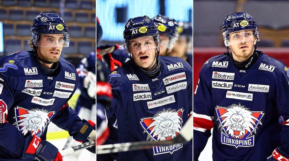 (17593) Bäckman/Törnqvist/Larsson