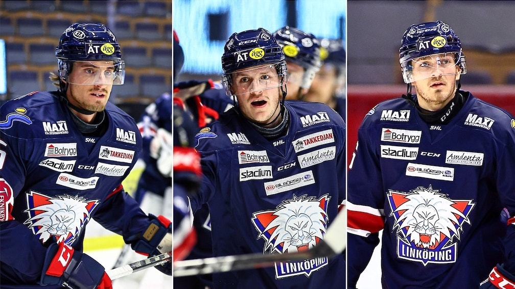 (17593) Bäckman/Törnqvist/Larsson