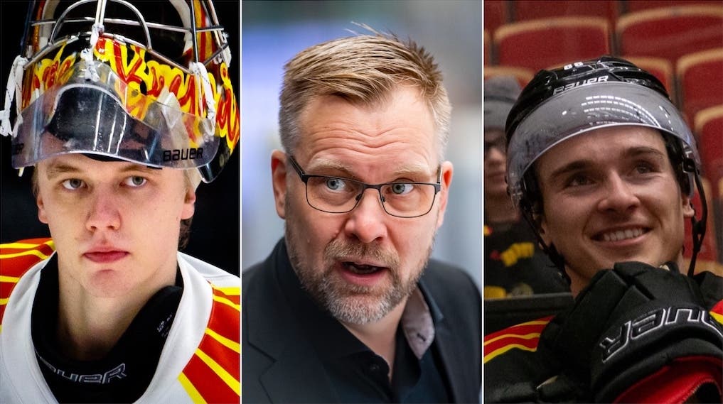 (21794) Vehviläinen Manner Timashov