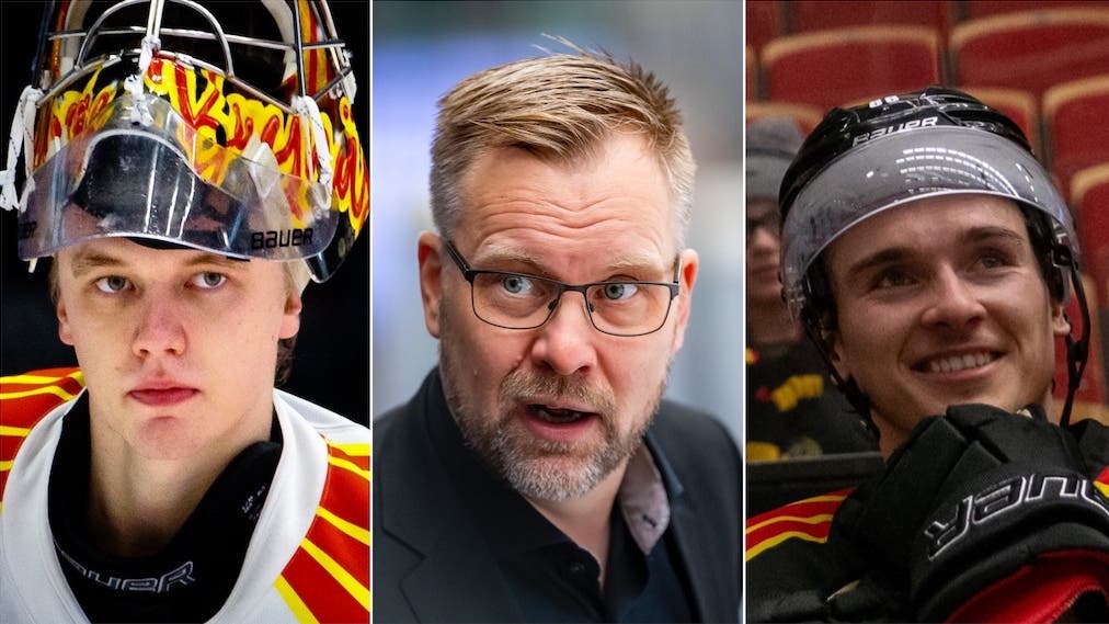 (21794) Vehviläinen Manner Timashov