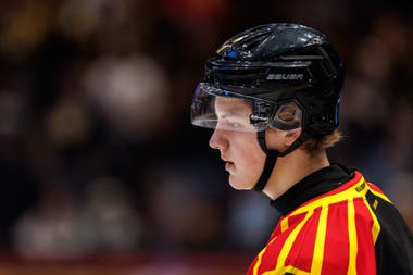 Victor Hedin Raftheim