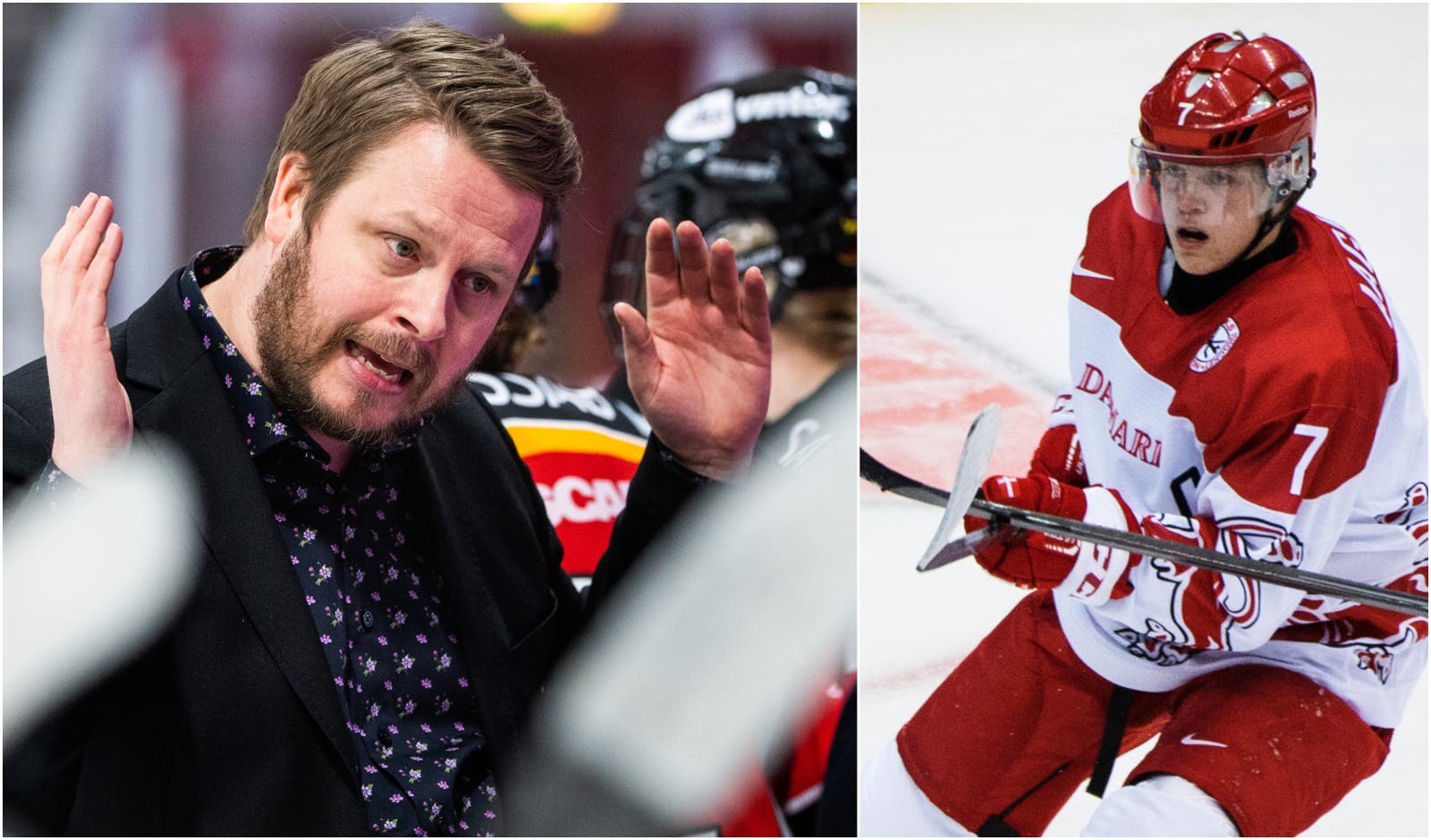 (13812) Glader dansk