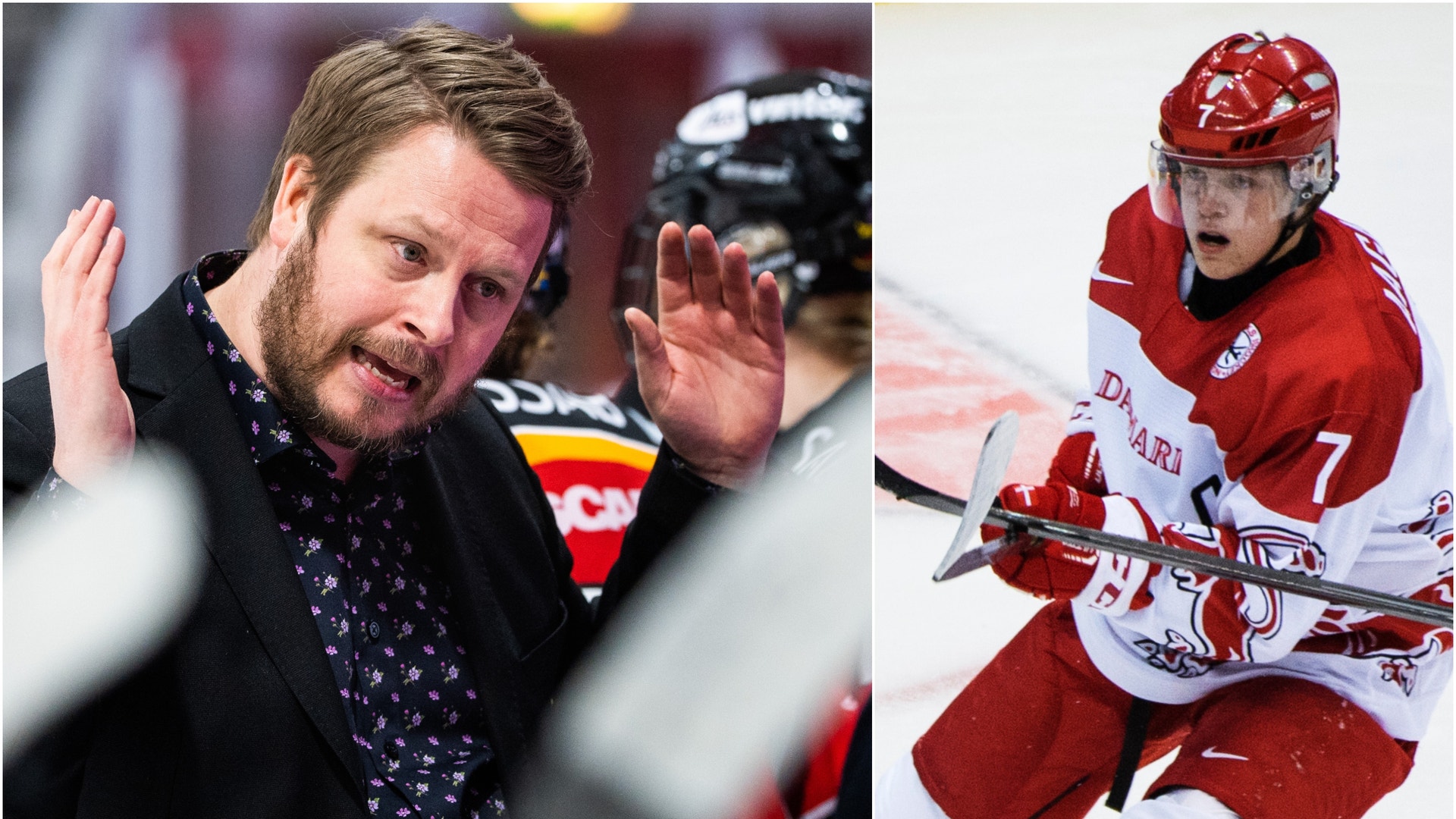 (13812) Glader dansk