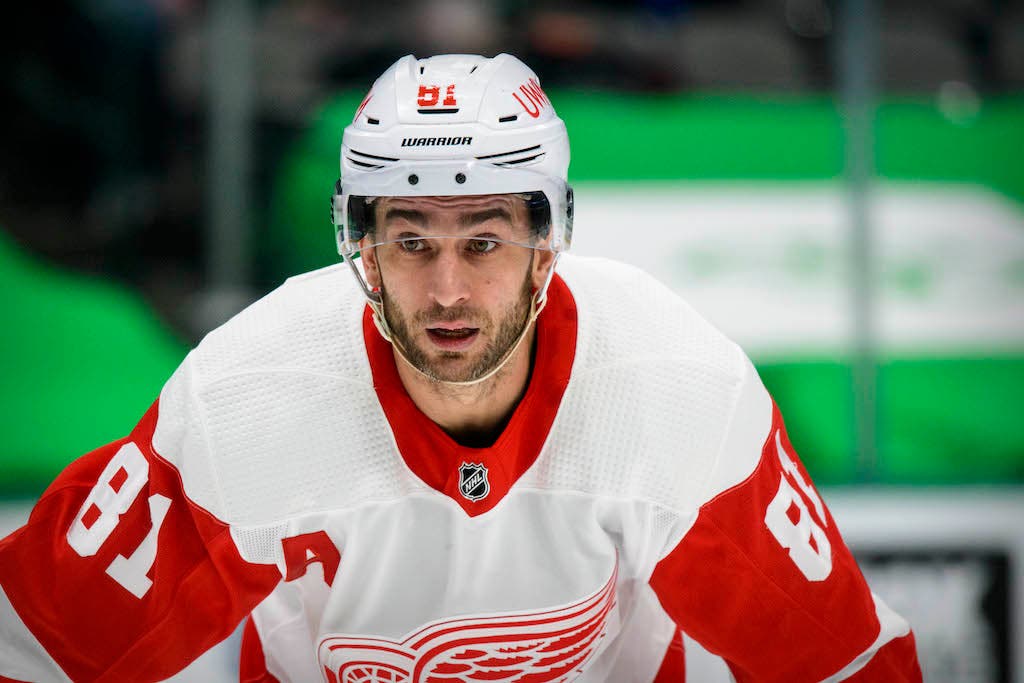 (20411) Frans Nielsen/Detroit