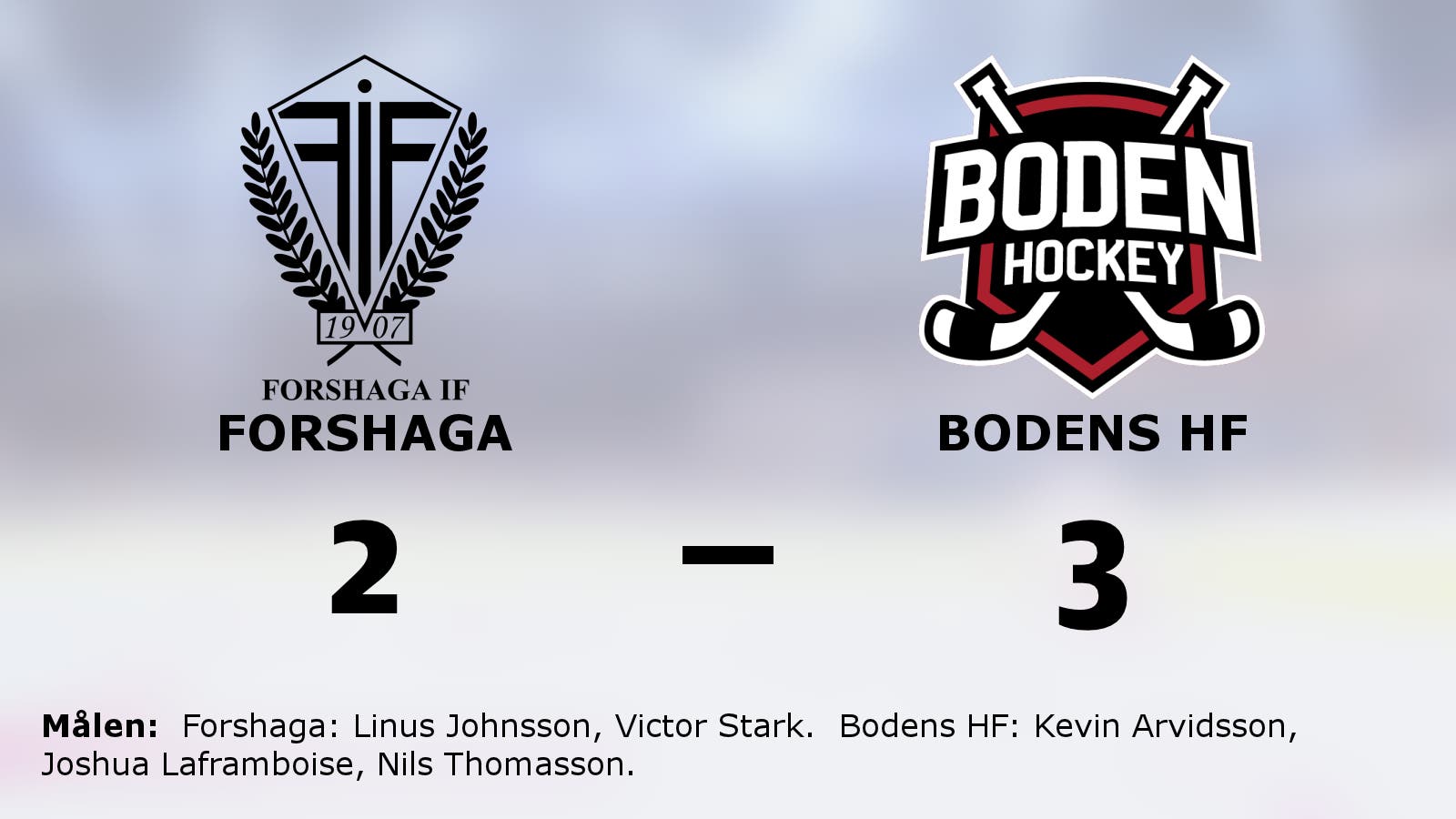 Bodens HF fortsätter segersviten mot Forshaga