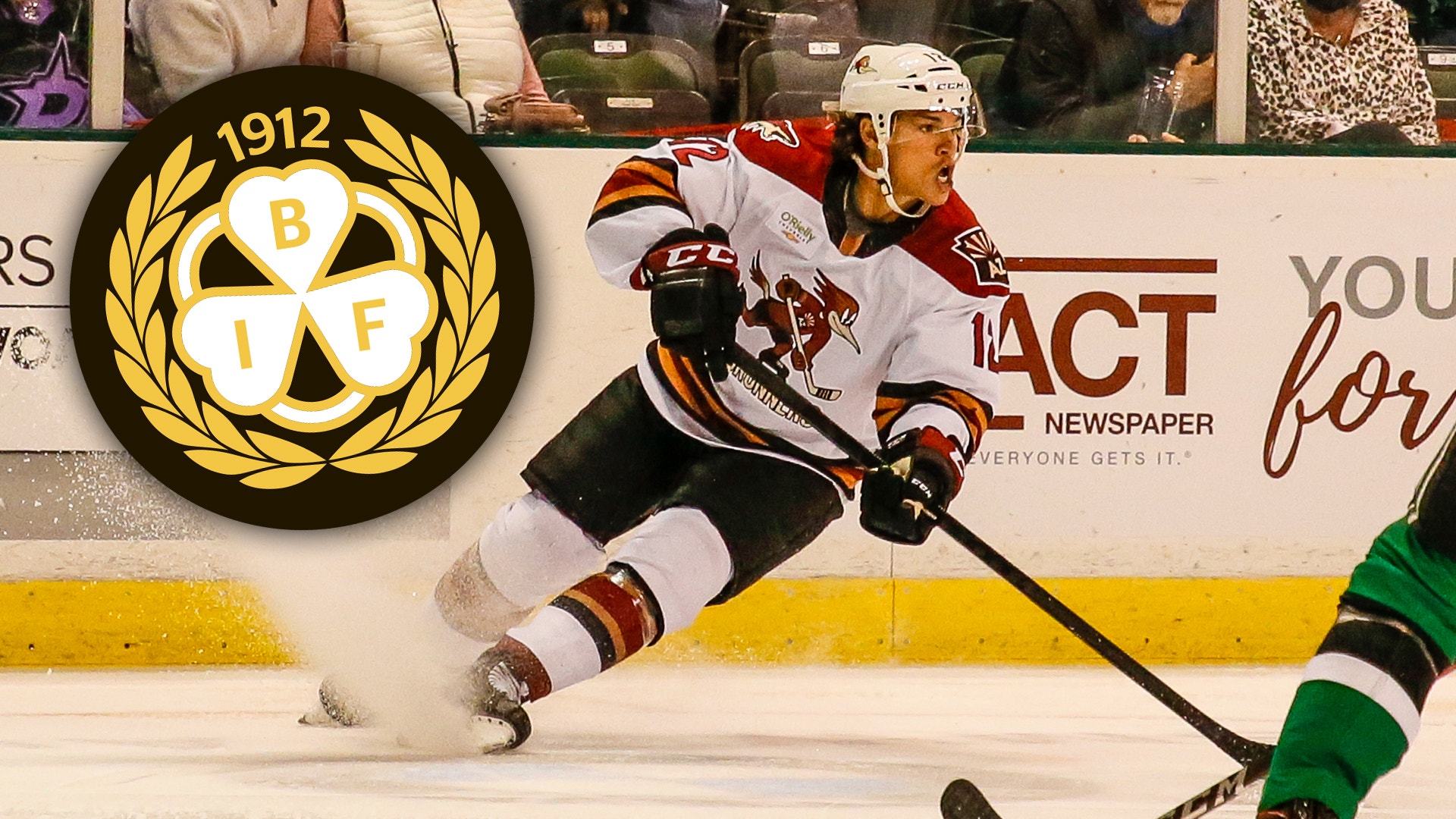 Andy Nietupski / Texas Stars