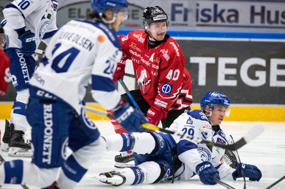(5712) leksand hästen