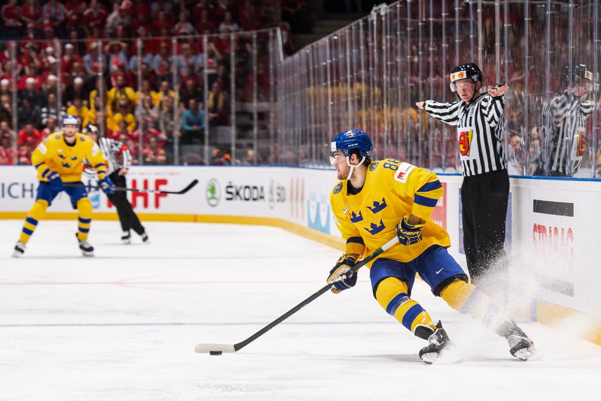 (8664) William Nylander