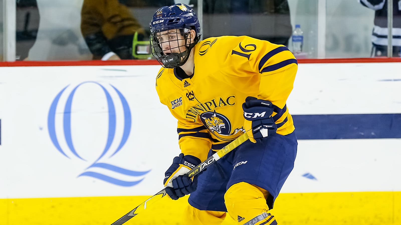 (14808) William Fallström