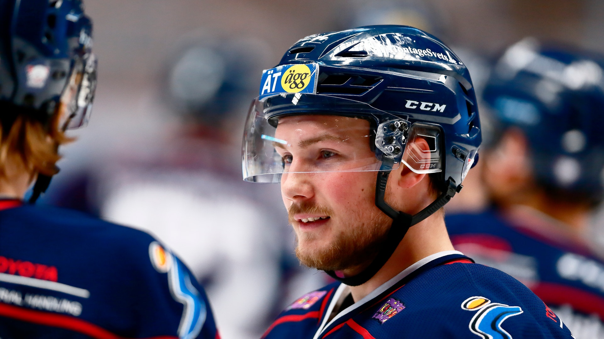 (8387) anton blomberg