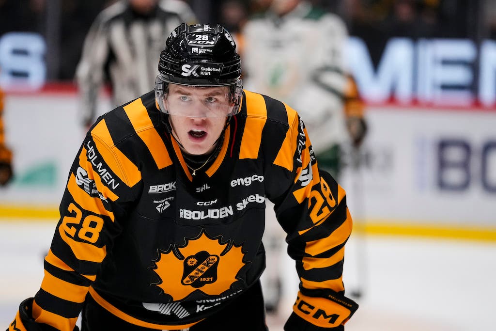 Michael Brandsegg-Nygård