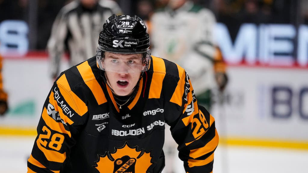 Michael Brandsegg-Nygård