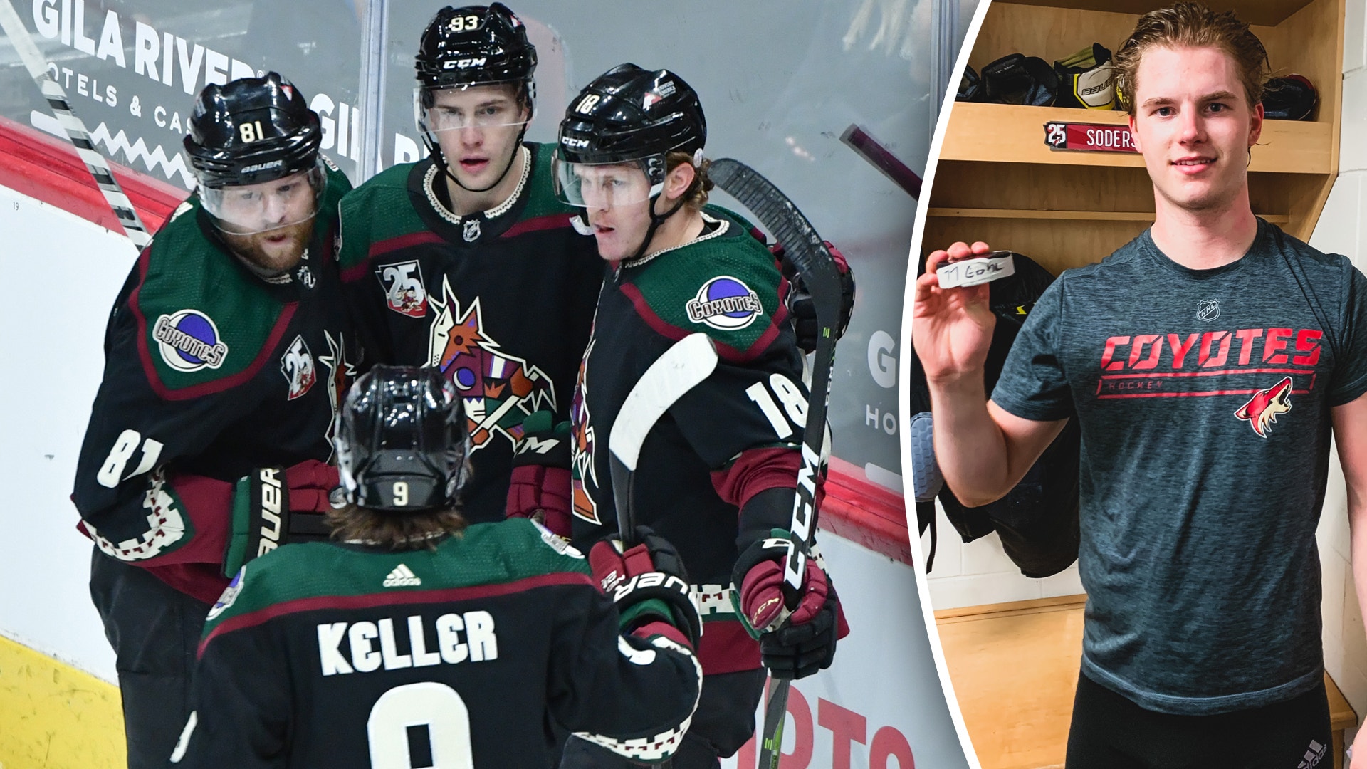 Bildbyrån/Arizona Coyotes (montage)