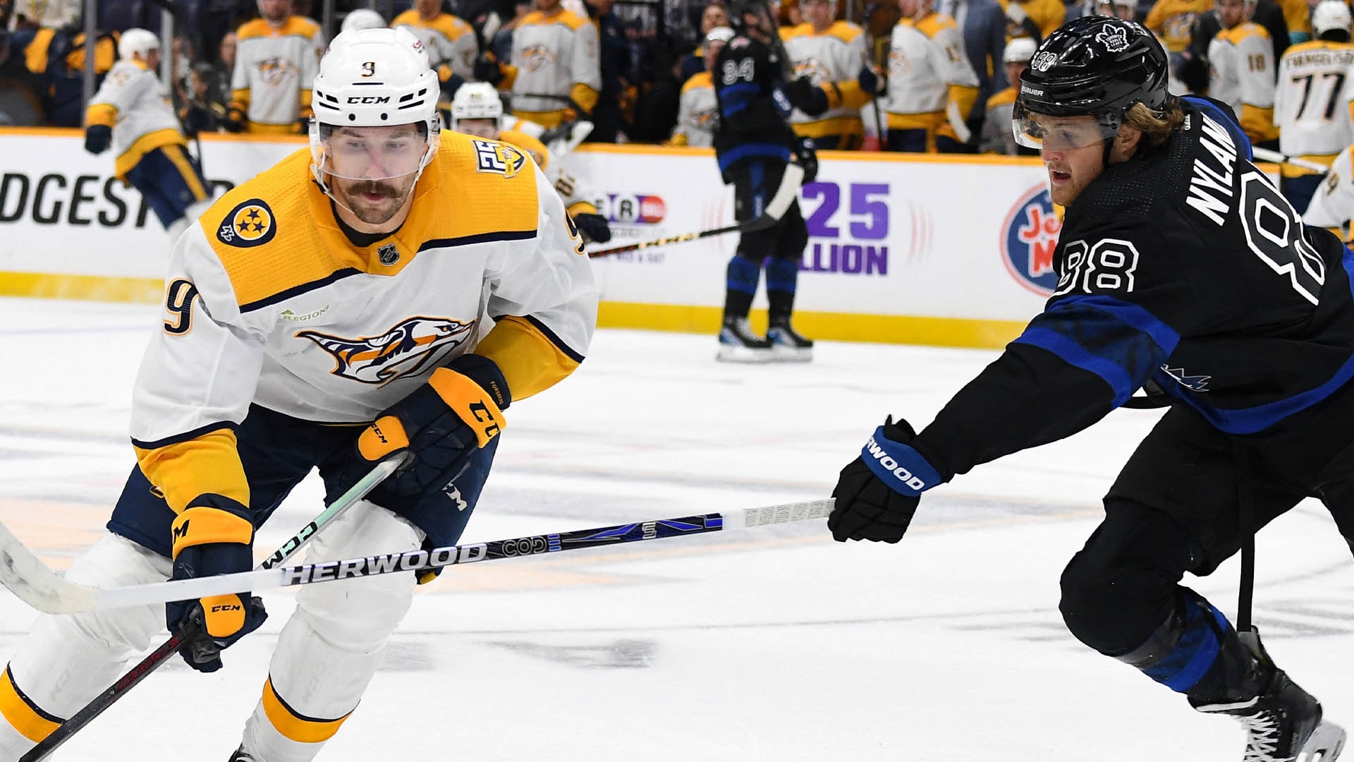 (29613) William Nylander Filip Forsberg