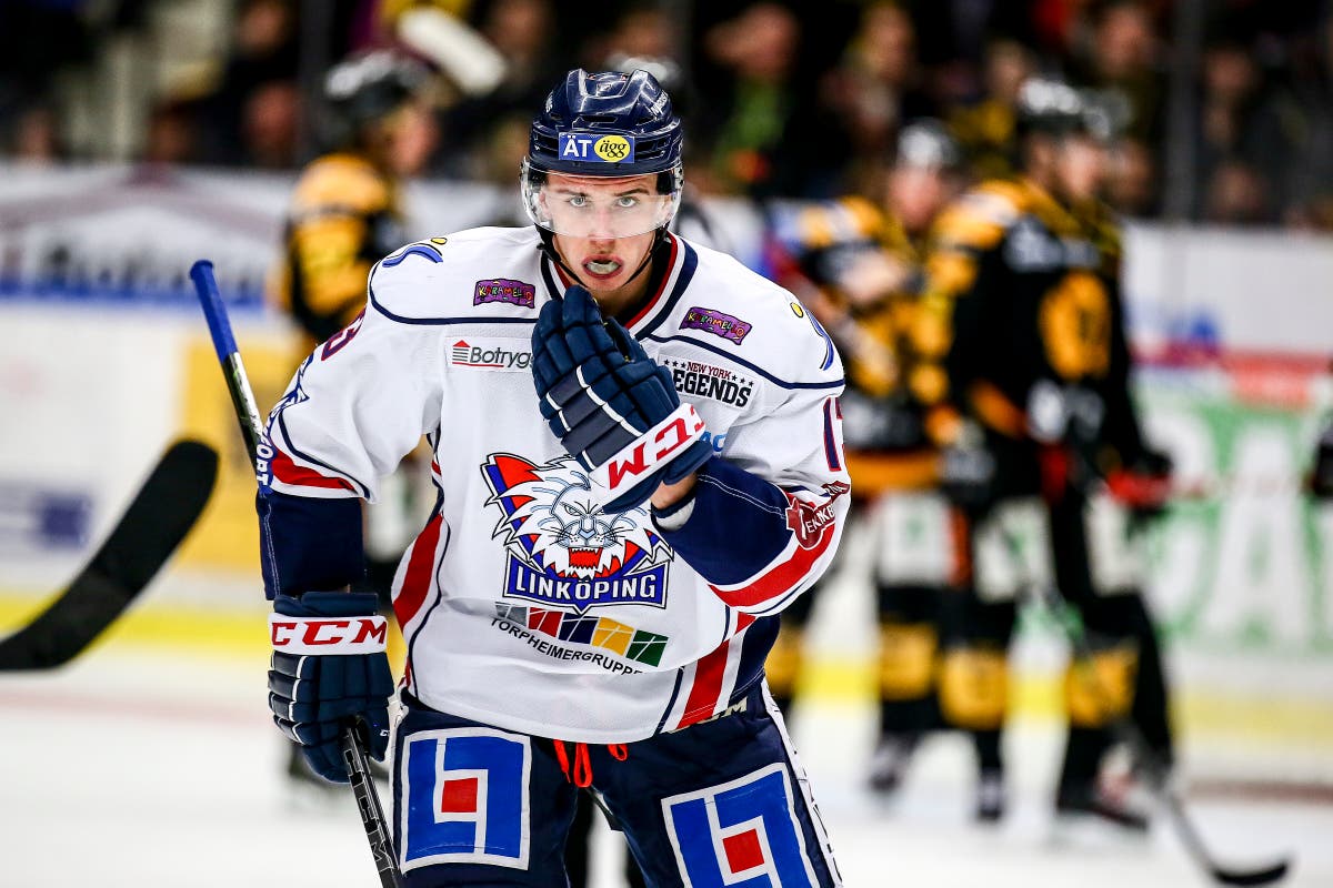 Vrana