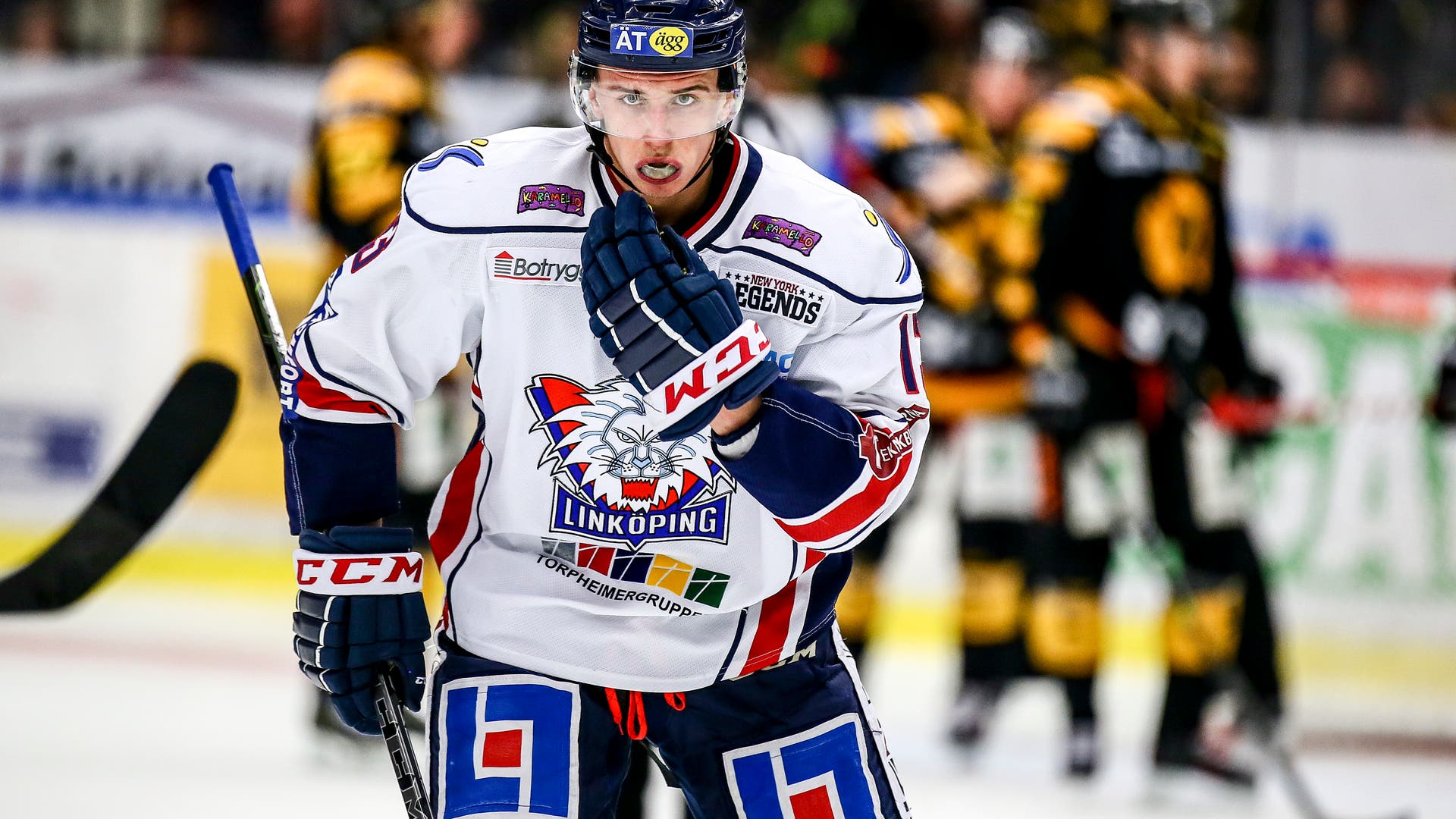 Vrana