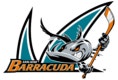 San Jose Barracuda