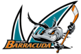 San Jose Barracuda