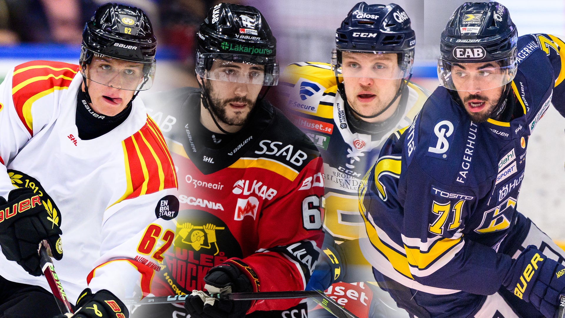 (28298) Hedberg-Komarek-Blomstrand-Vesel