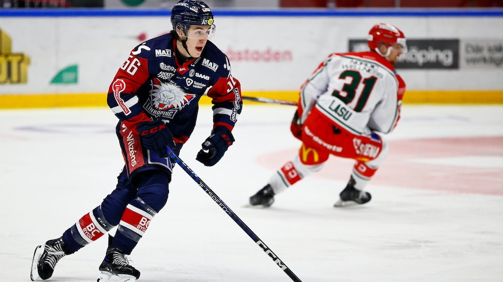 Foto: Peter Holgersson/Bildbyrån
