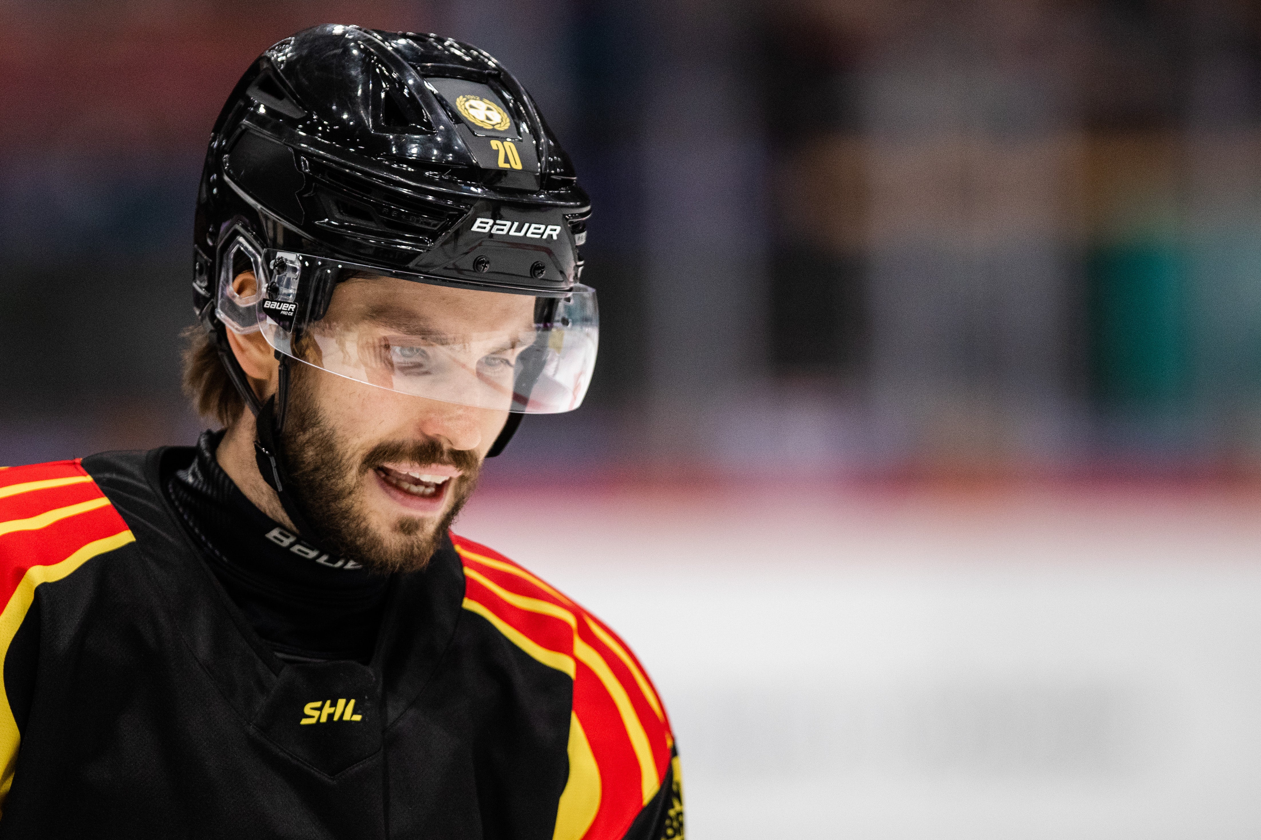 (25421) Oula Palve Brynäs