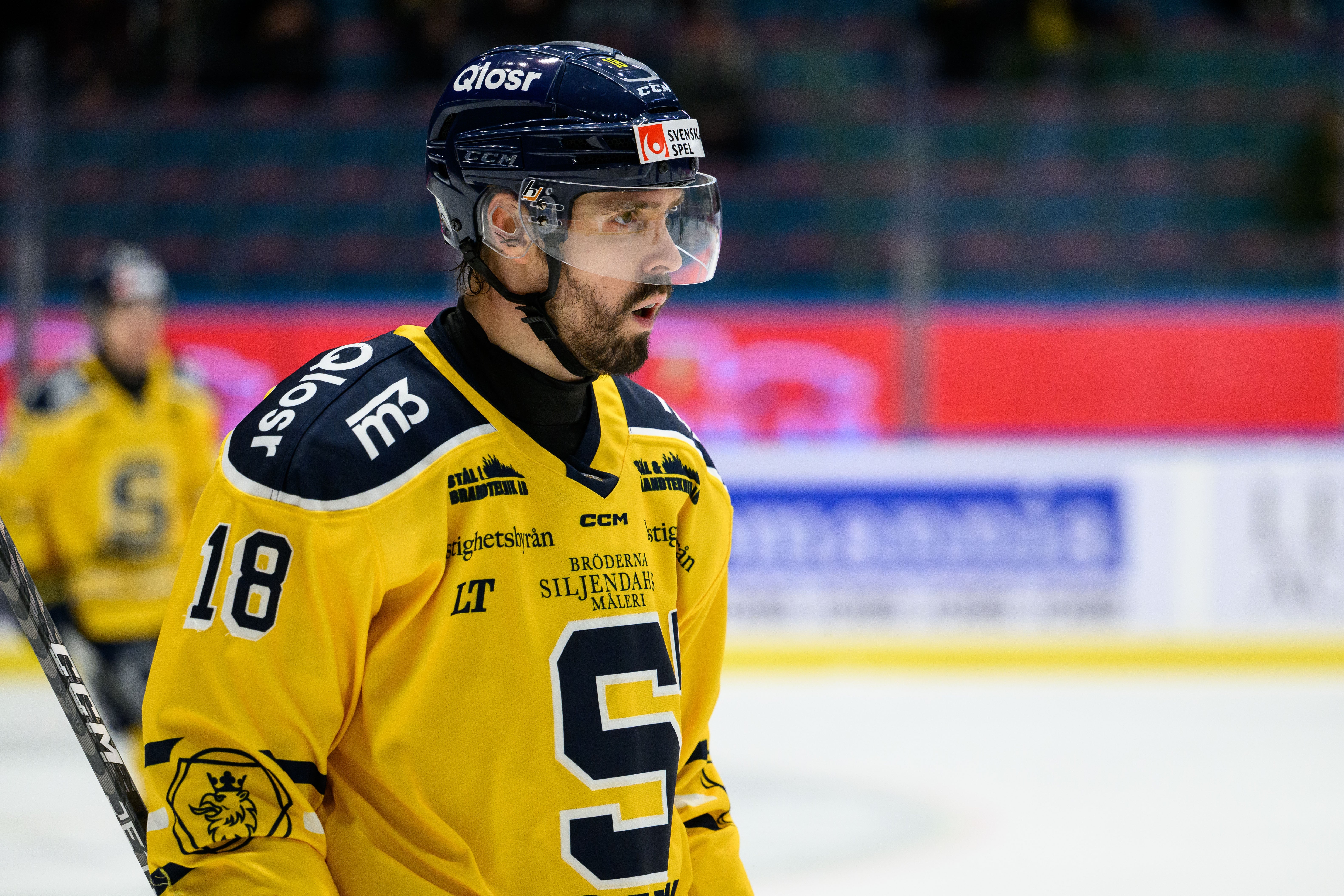 (31518) Linus Videll