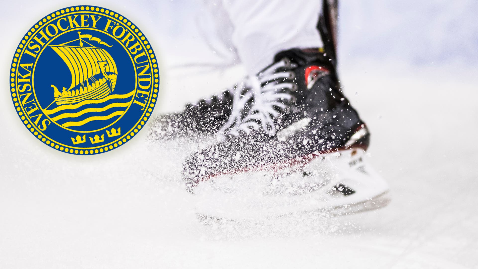 (3453) Svenska Ishockeyförbundet