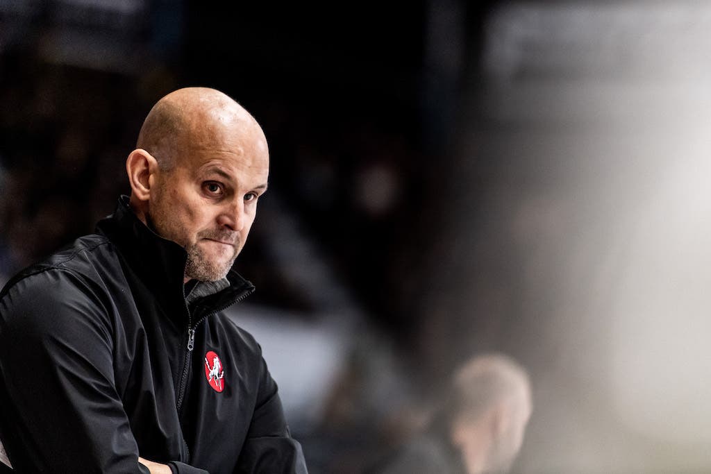 (20763) Tony Zabel/Vita Hästen