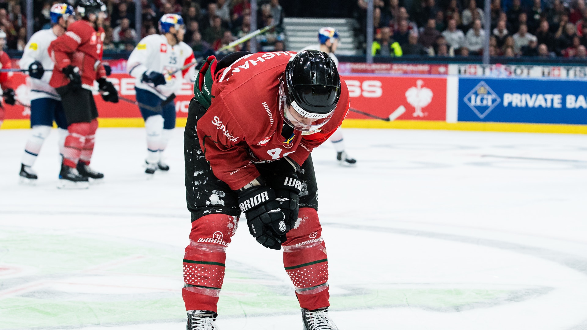 Michael Erichsen/Bildbyrån