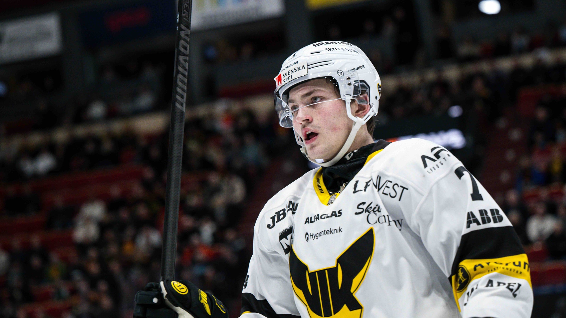 (31996) Hannes Hellberg