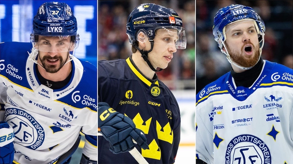 Hrivik Vejdemo Elvenes