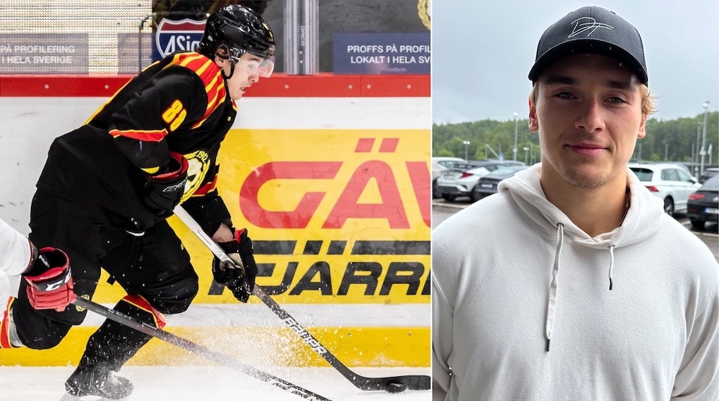 (28649) Dmytro Timashov