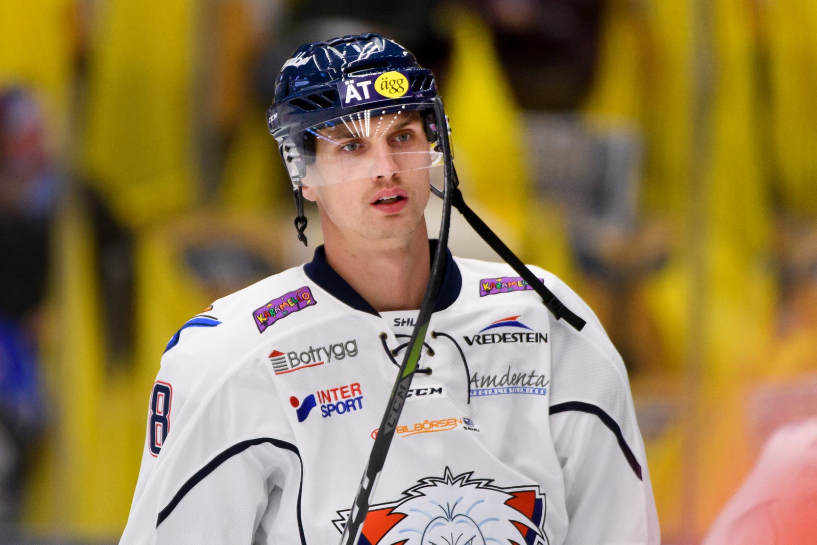 (6488) Viktor Svedberg