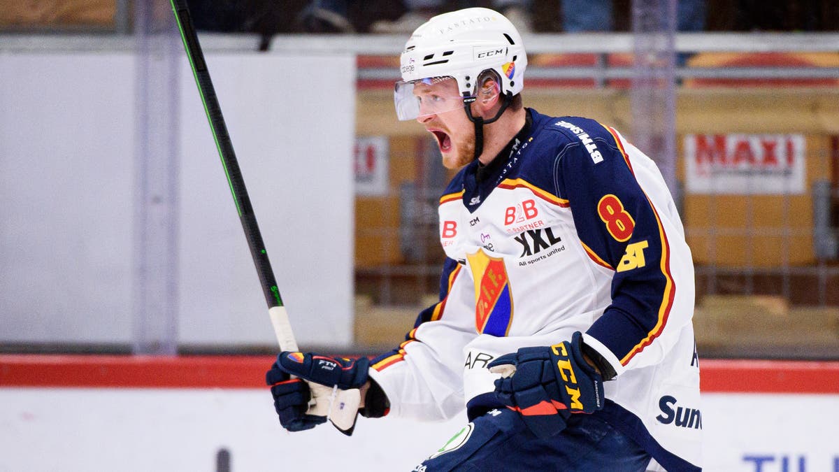 (21191) Linus Arnesson